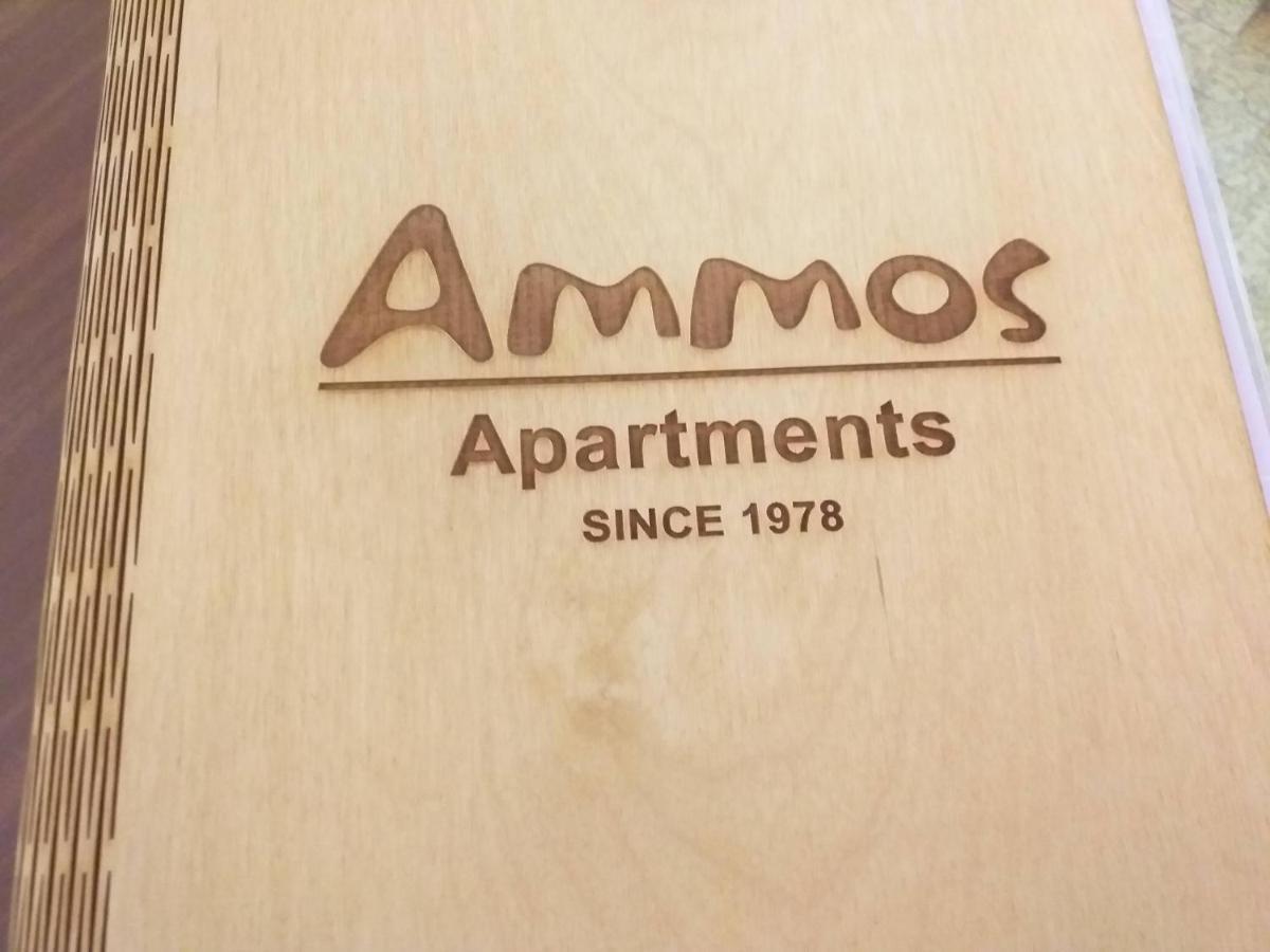 Ammos Apartments Ágios Nikolaos Exterior foto